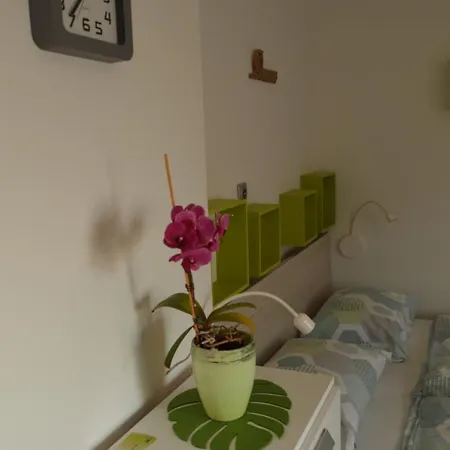 Apartma Luka & Maja Apartment *