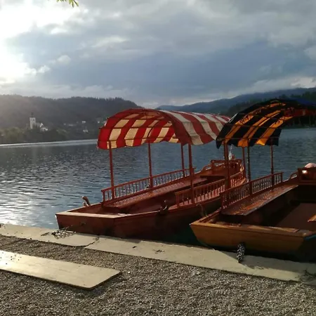 Apartma Luka & Maja Apartman Zgornje Gorje