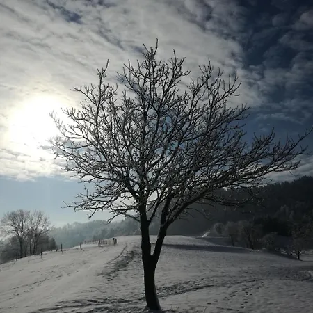 Apartma Luka & Maja * Zgornje Gorje