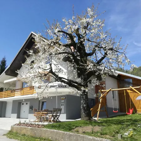 Apartment Apartma Luka & Maja Zgornje Gorje